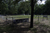 White Cemetery Overview